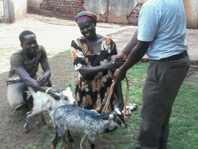 Doreen_Returning_Her_Two_Goats